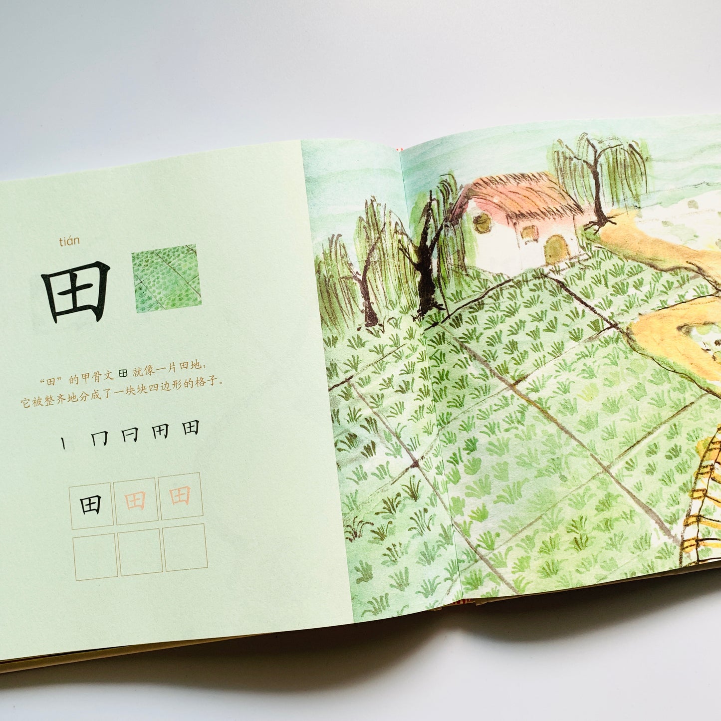 字是画 画是字 Words Are Pictures, Pictures Are Words (Set of 3)