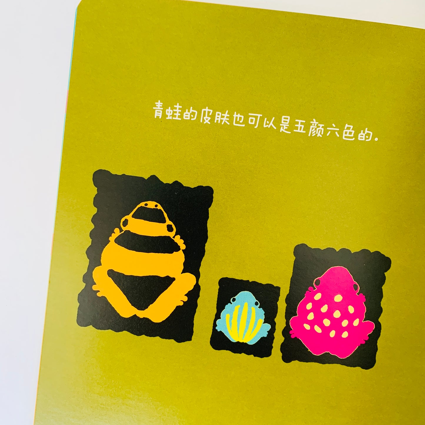 永田达爷爷的自然科学课 Grandpa Tatsu Nagata's Natural Science Lessons (Set of 8)