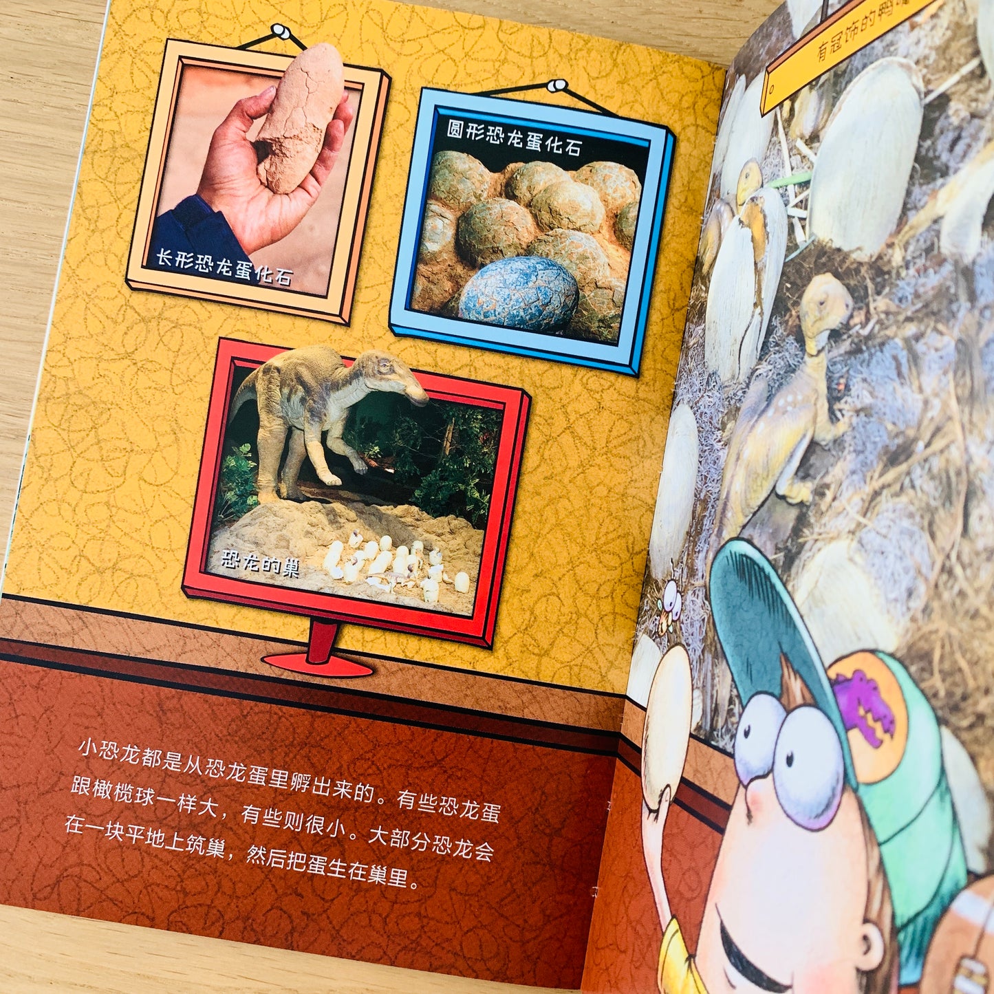 苍蝇小子 Fly Guy Bridging Books (Set of 9)