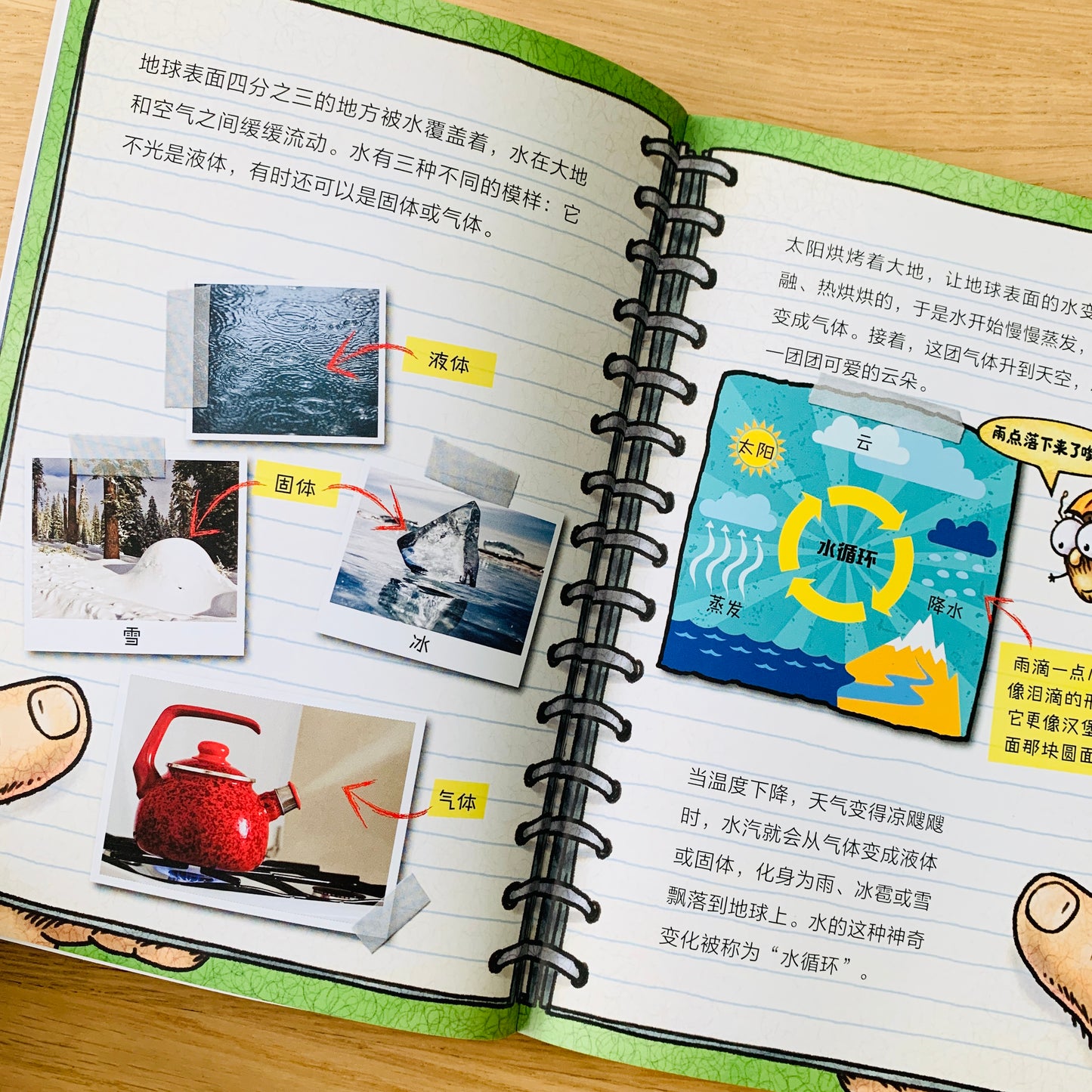 苍蝇小子 Fly Guy Bridging Books (Set of 9)