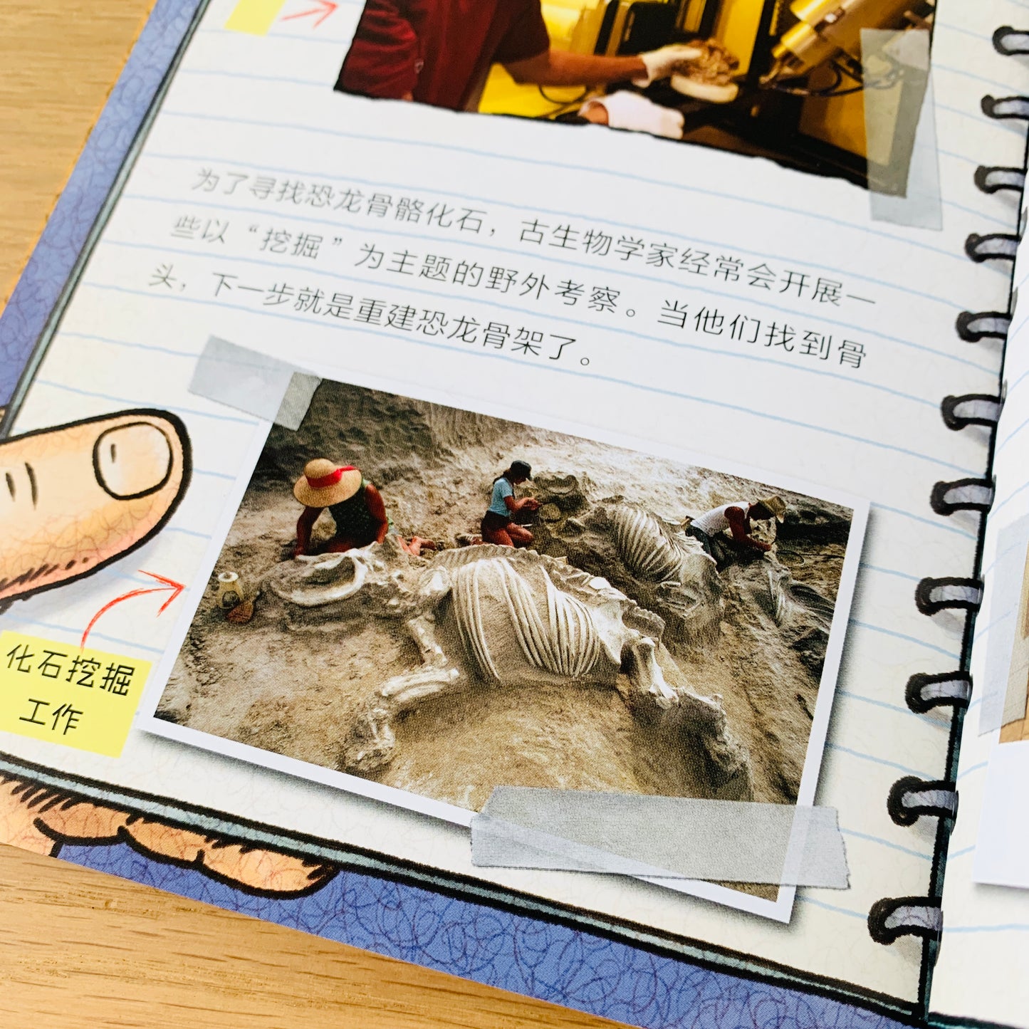 苍蝇小子 Fly Guy Bridging Books (Set of 9)