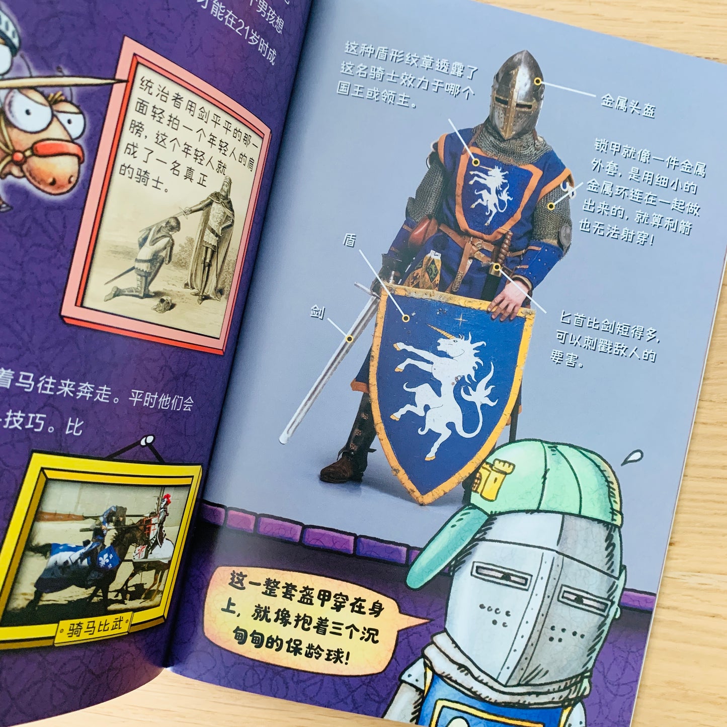 苍蝇小子 Fly Guy Bridging Books (Set of 9)