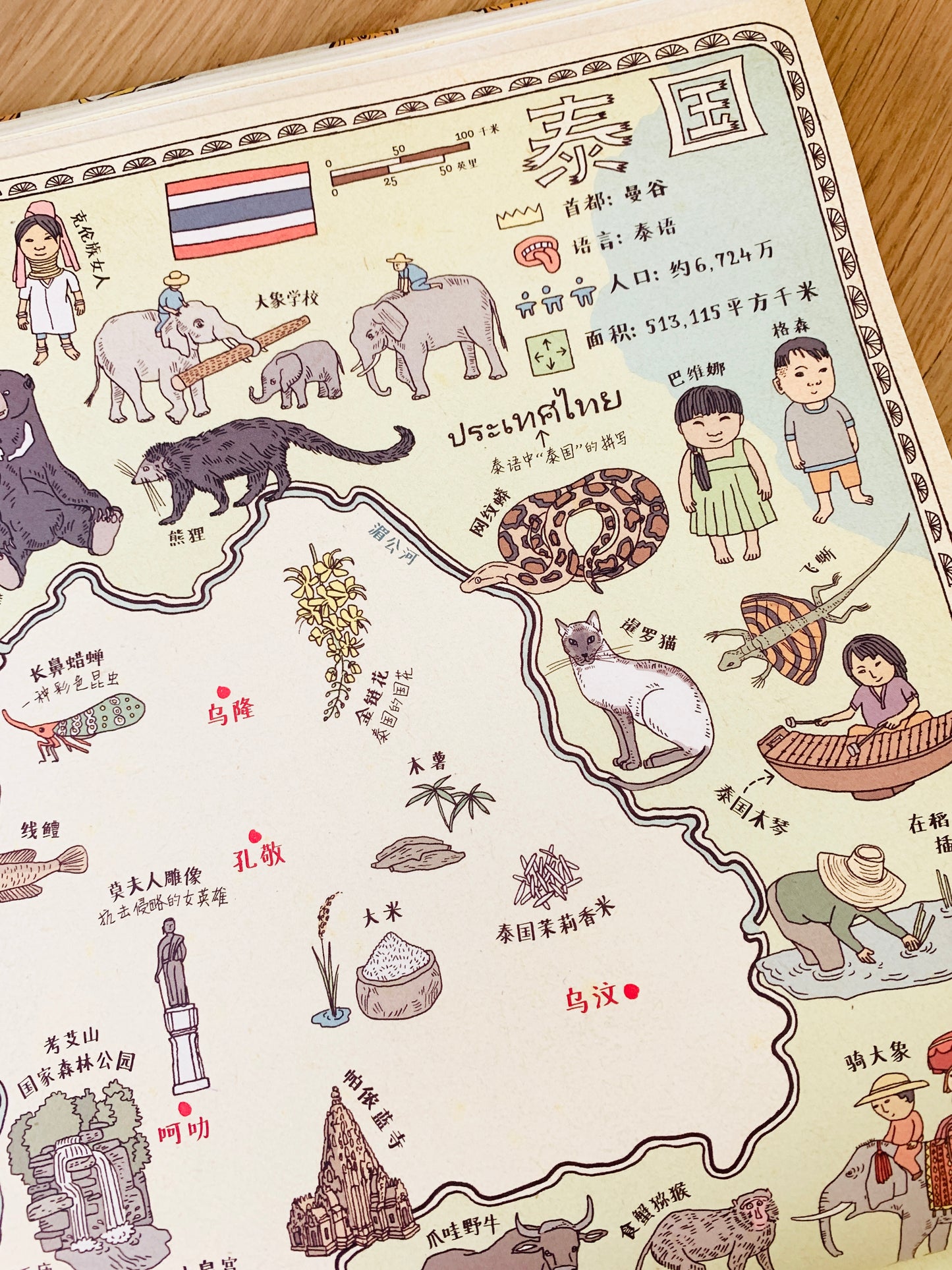地图 Maps