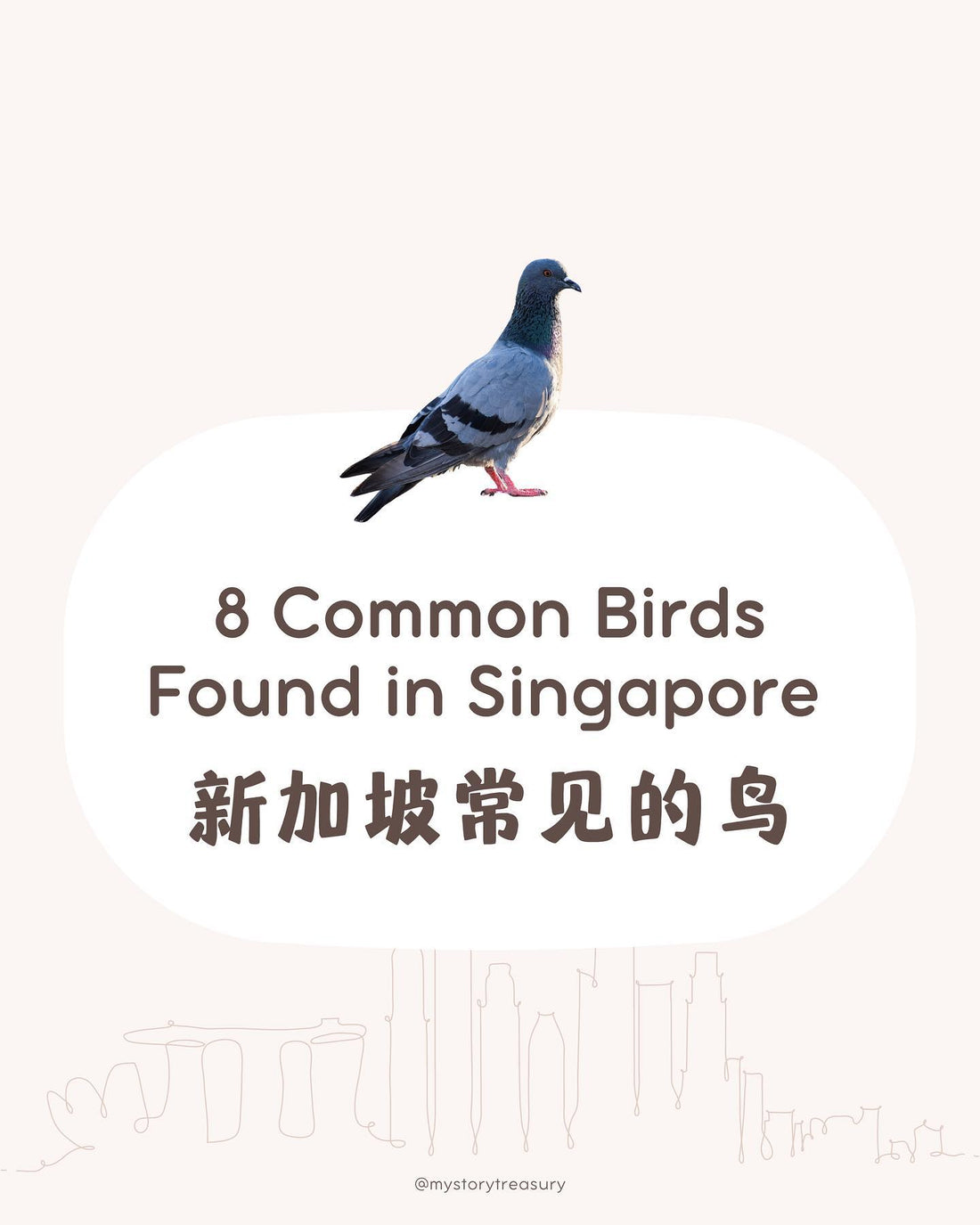 Do you know what are our common local birds called?