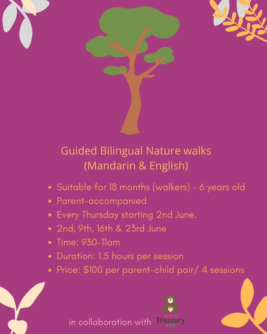 4 weeks guided Bilingual (Mandarin & English) Nature walks
