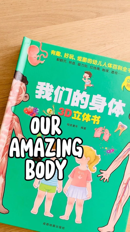 我们的身体 立体书 Our Bodies 3D Pop-up Book