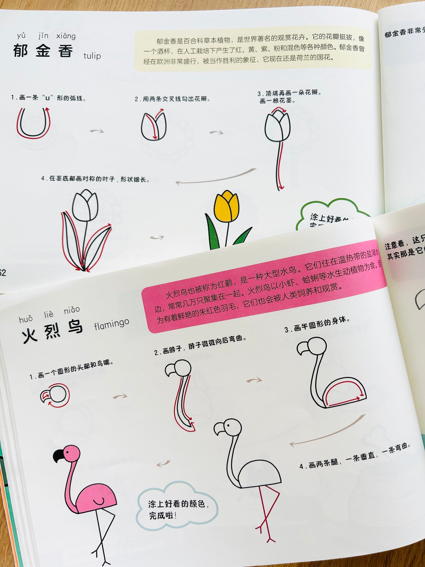 万物简笔画 Doodle Everything (Set of 4)