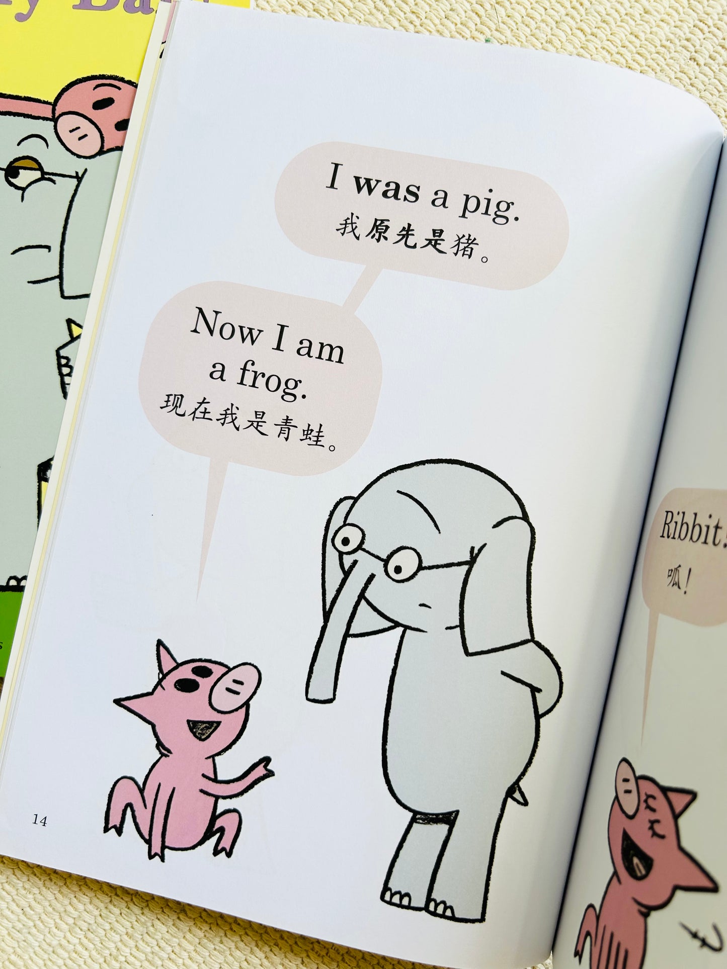 开心小猪和大象哥哥 Elephant and Piggie (Set of 17)