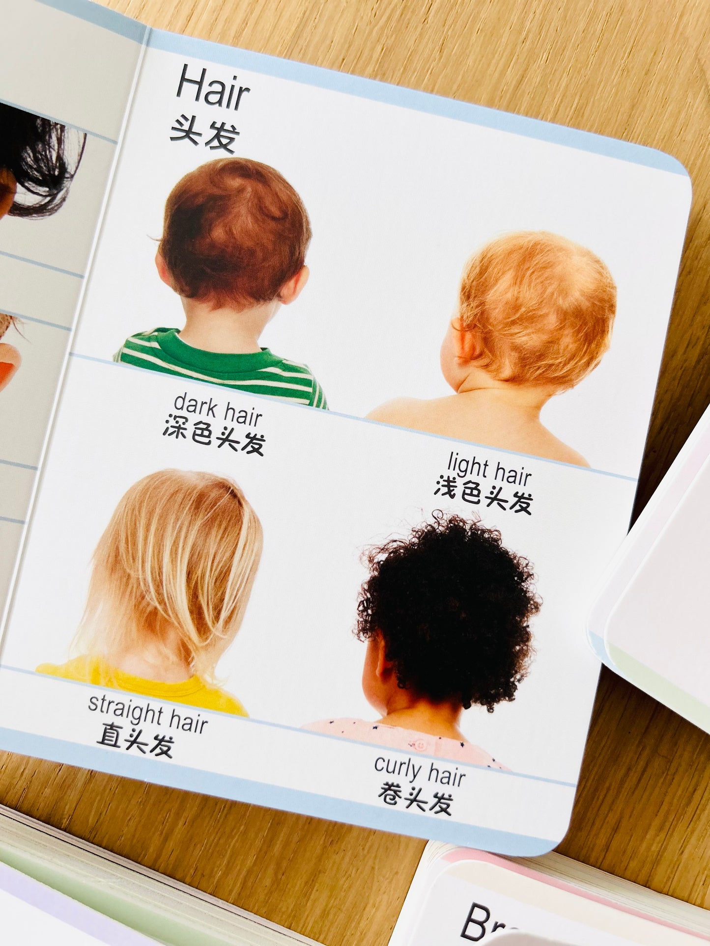 Board Book Encyclopedia for Little Ones 幼儿百科全书 (Set of 8)