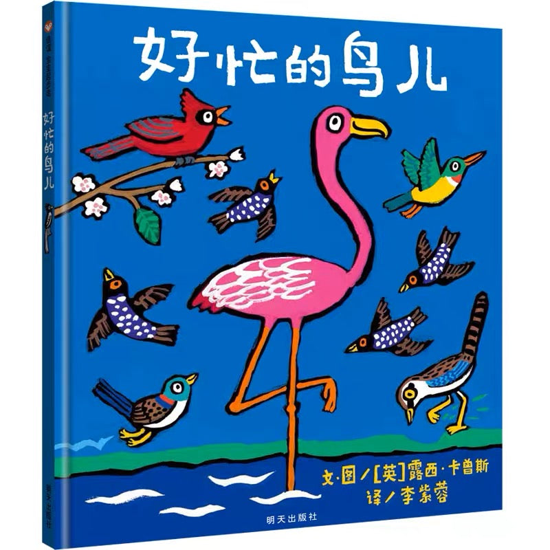 好忙的鸟儿 A Busy Day For Birds