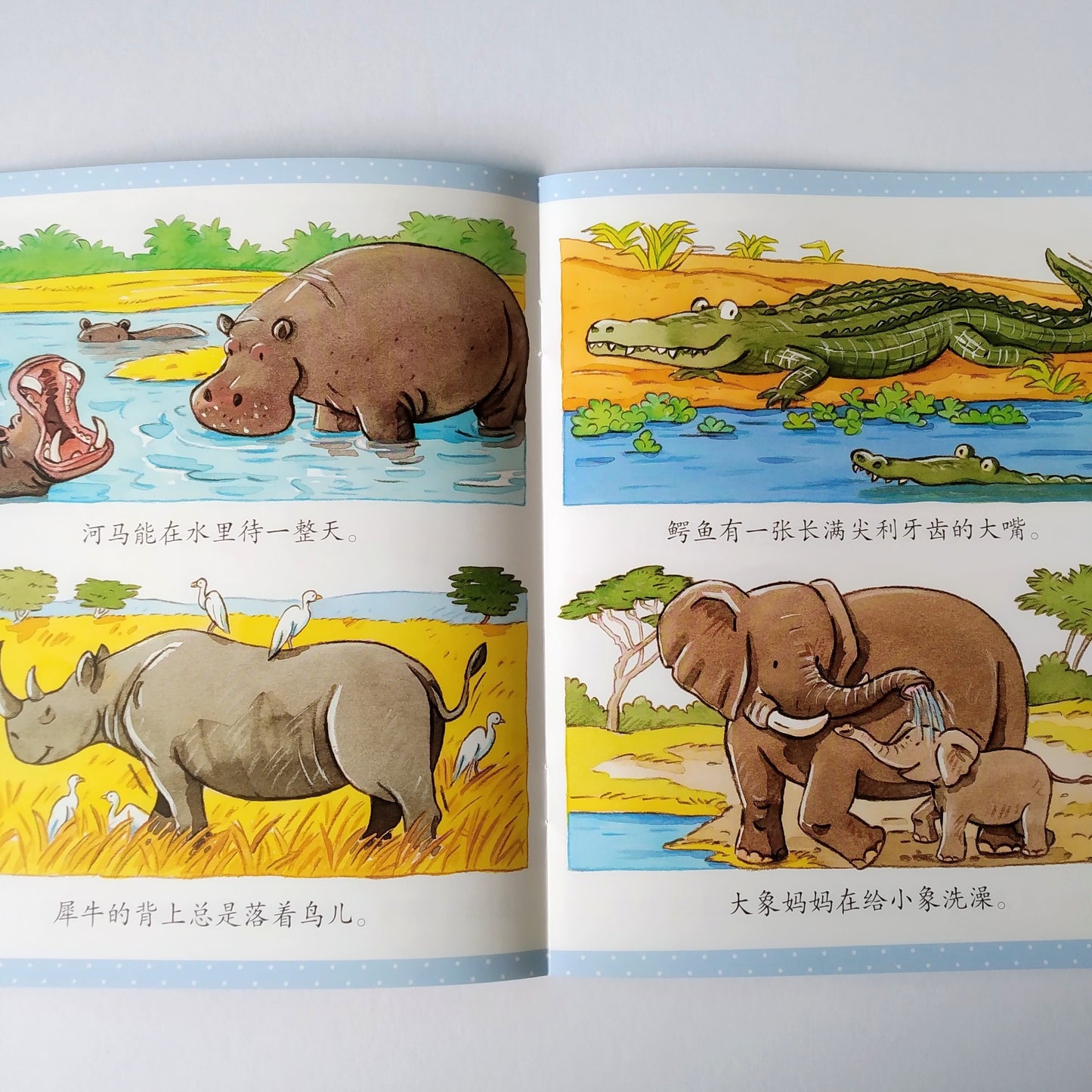 幼儿启蒙知识库 Little Encyclopedia (Set of 12)