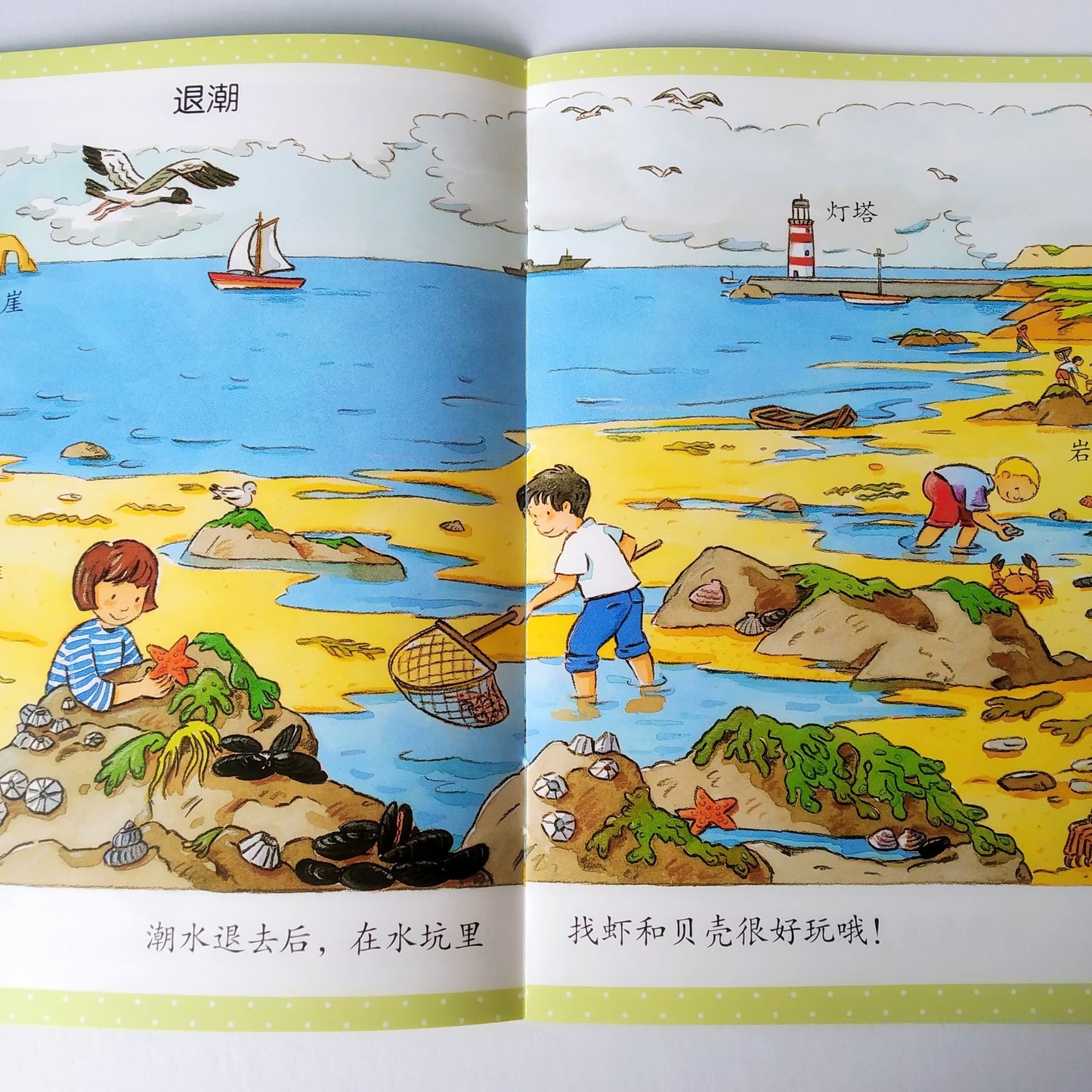 幼儿启蒙知识库 Little Encyclopedia (Set of 12)