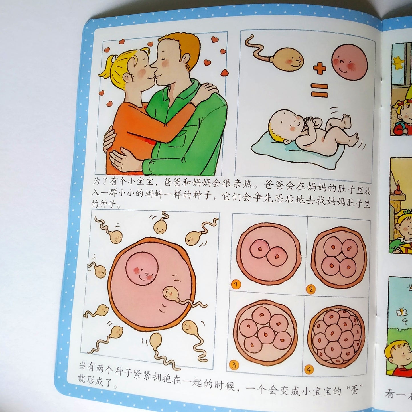 幼儿启蒙知识库 Little Encyclopedia (Set of 12)