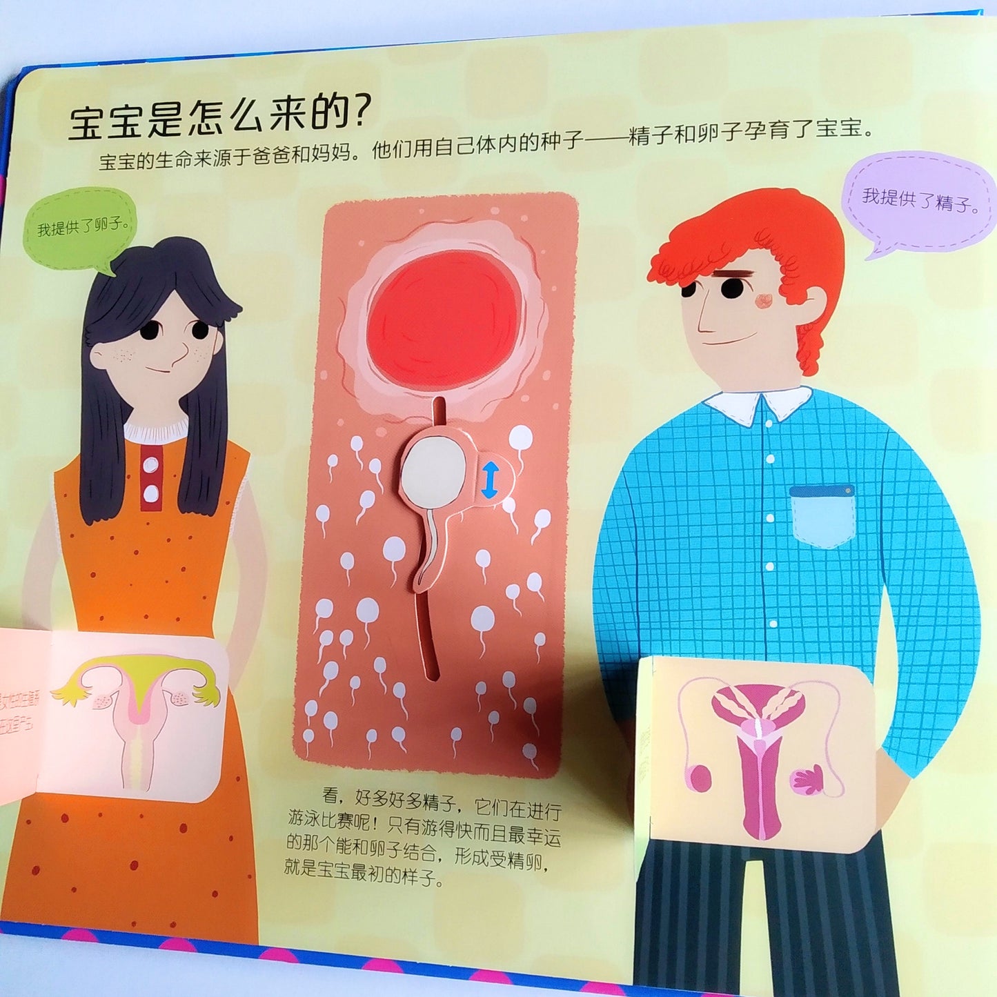 性别常识 互动游戏书 Learning about Genders