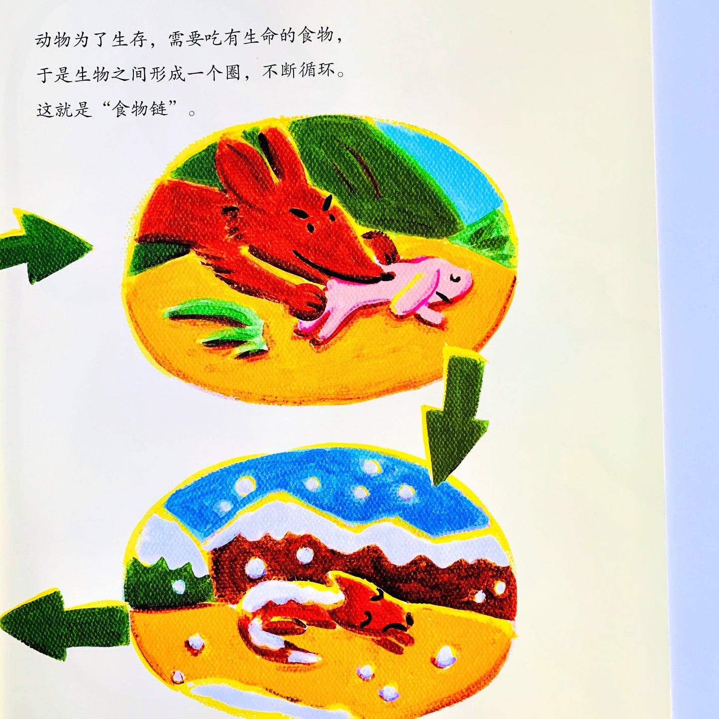 吃饭的秘密 The Secrets to Eating Well (Set of 5)