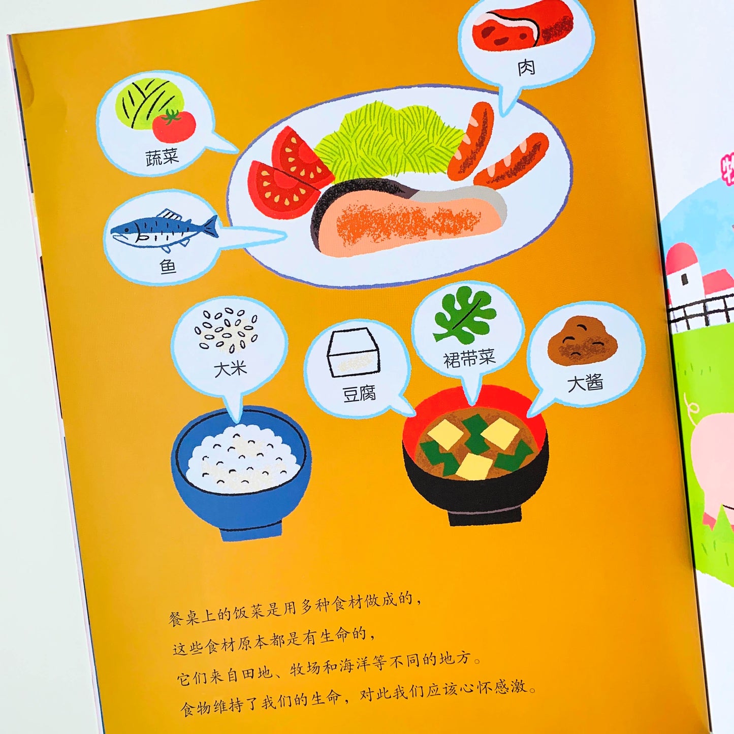 吃饭的秘密 The Secrets to Eating Well (Set of 5)