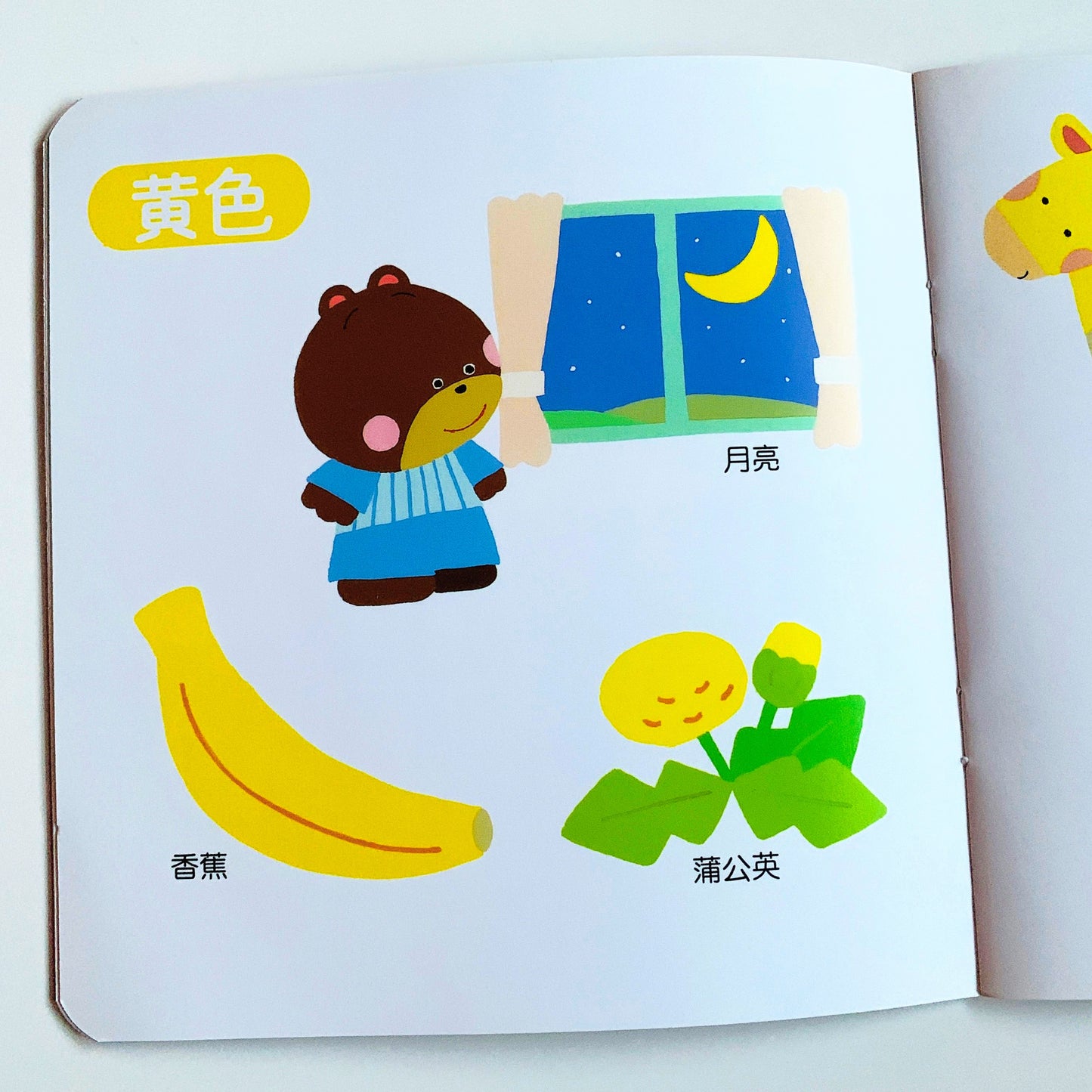 小熊宝宝认知绘本系列 Little Bear Learns (Set of 10)