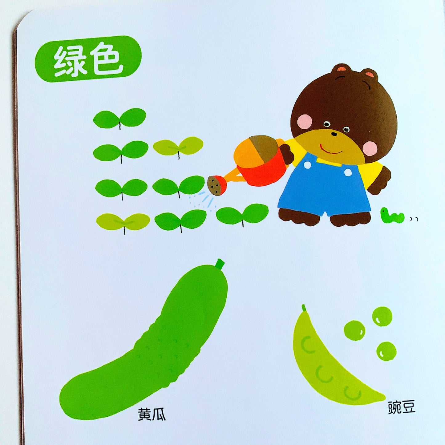 小熊宝宝认知绘本系列 Little Bear Learns (Set of 10)