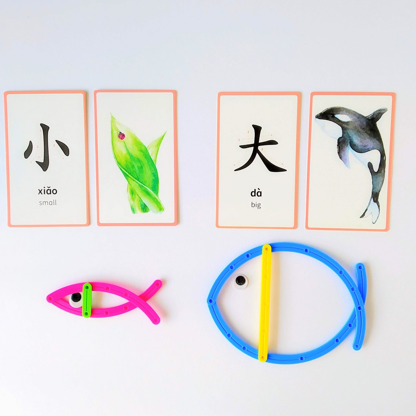 华文好好玩 Mandarin Sensory Cards