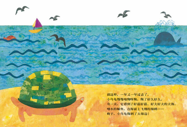 想看海的乌龟 The Turtle Who Wanted To See The Sea