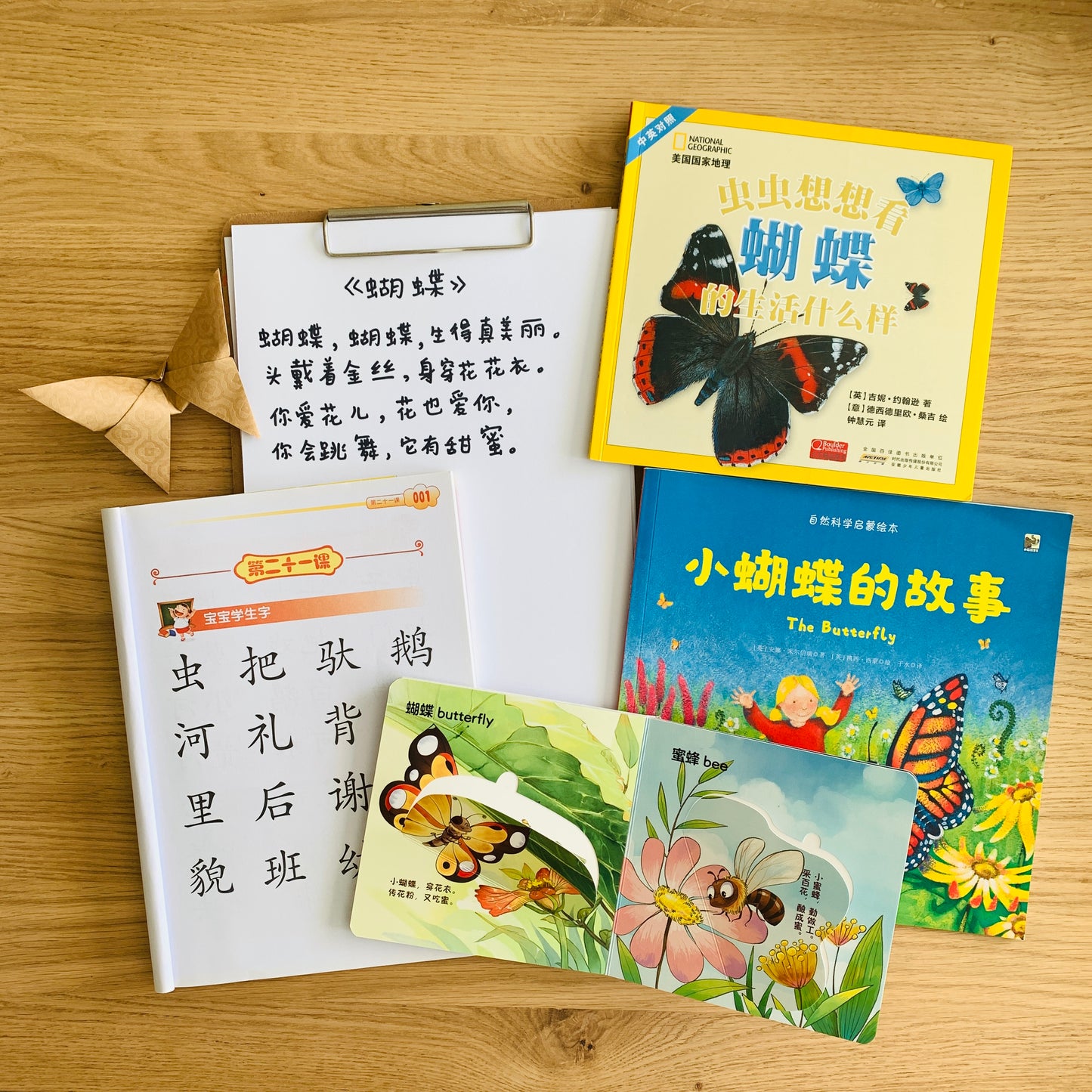 生命周期翻翻书 Life Cycle Interactive Books (Set of 3)