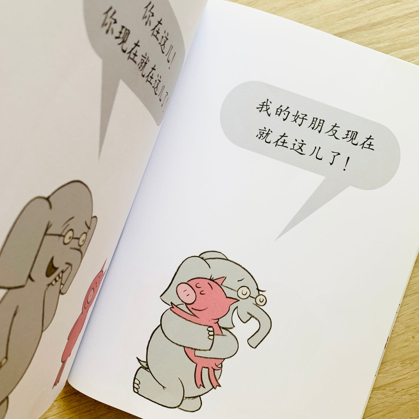 开心小猪和大象哥哥 Elephant and Piggie (Set of 17)