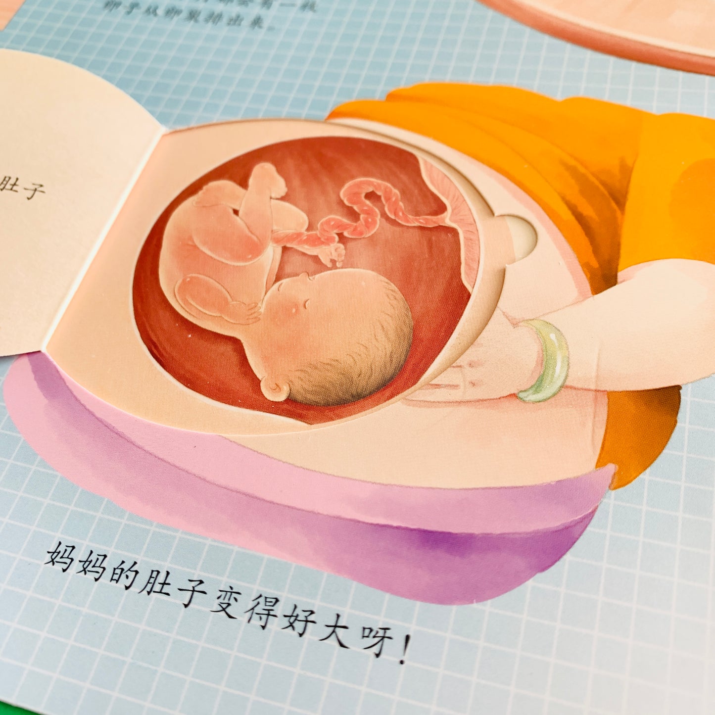 我们的身体 立体书 Our Bodies 3D Pop-up Book