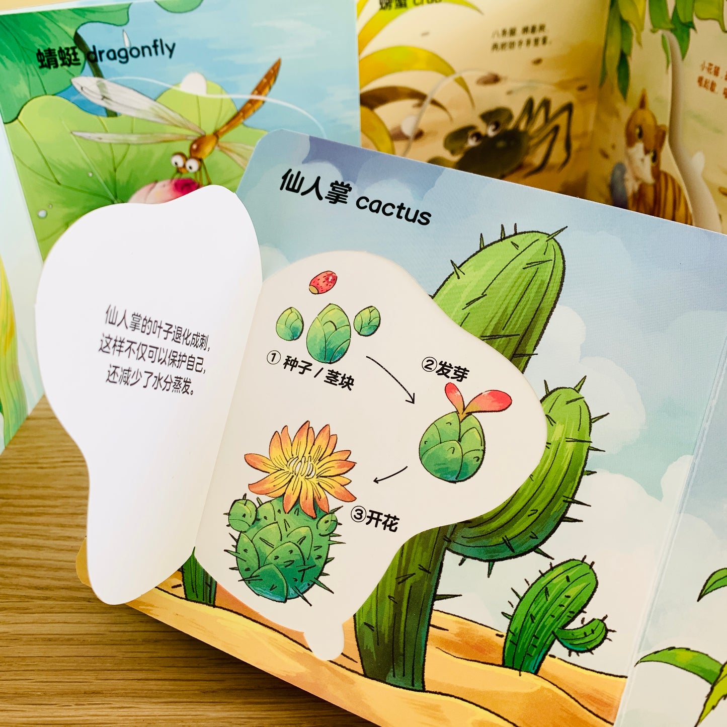 生命周期翻翻书 Life Cycle Interactive Books (Set of 3)