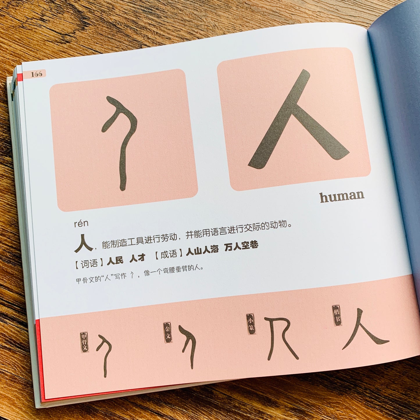 汉字是画出来的 Oracle Bone Script Bilingual Reference Book - with Hanyu Pinyin