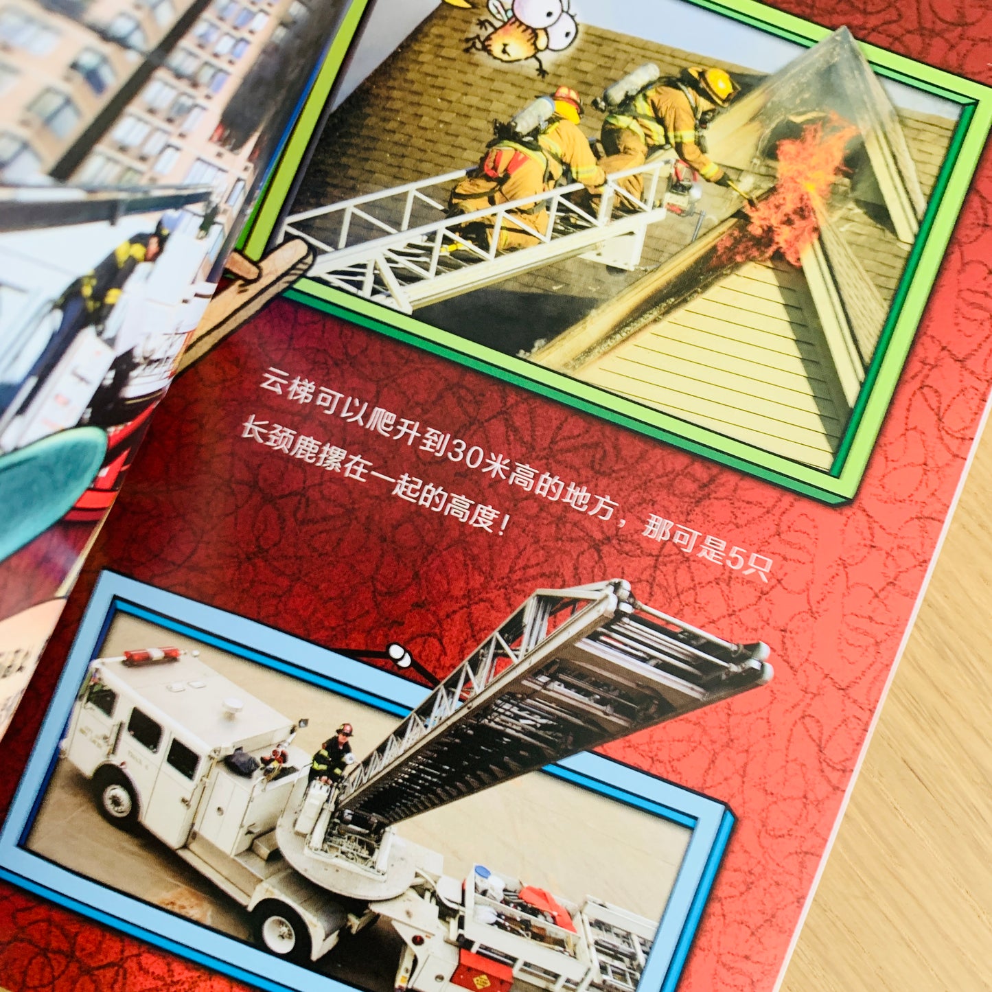 苍蝇小子 Fly Guy Bridging Books (Set of 9)