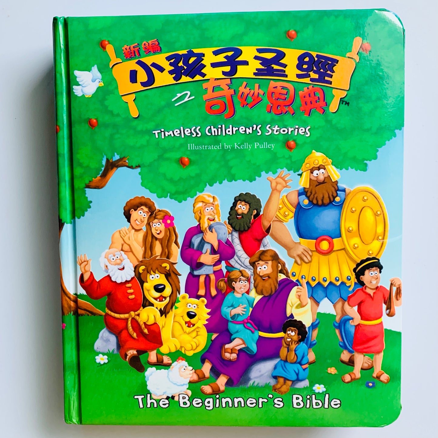 小孩子圣经 之 奇妙恩典 The Beginner's Bible (Bilingual English-Chinese)