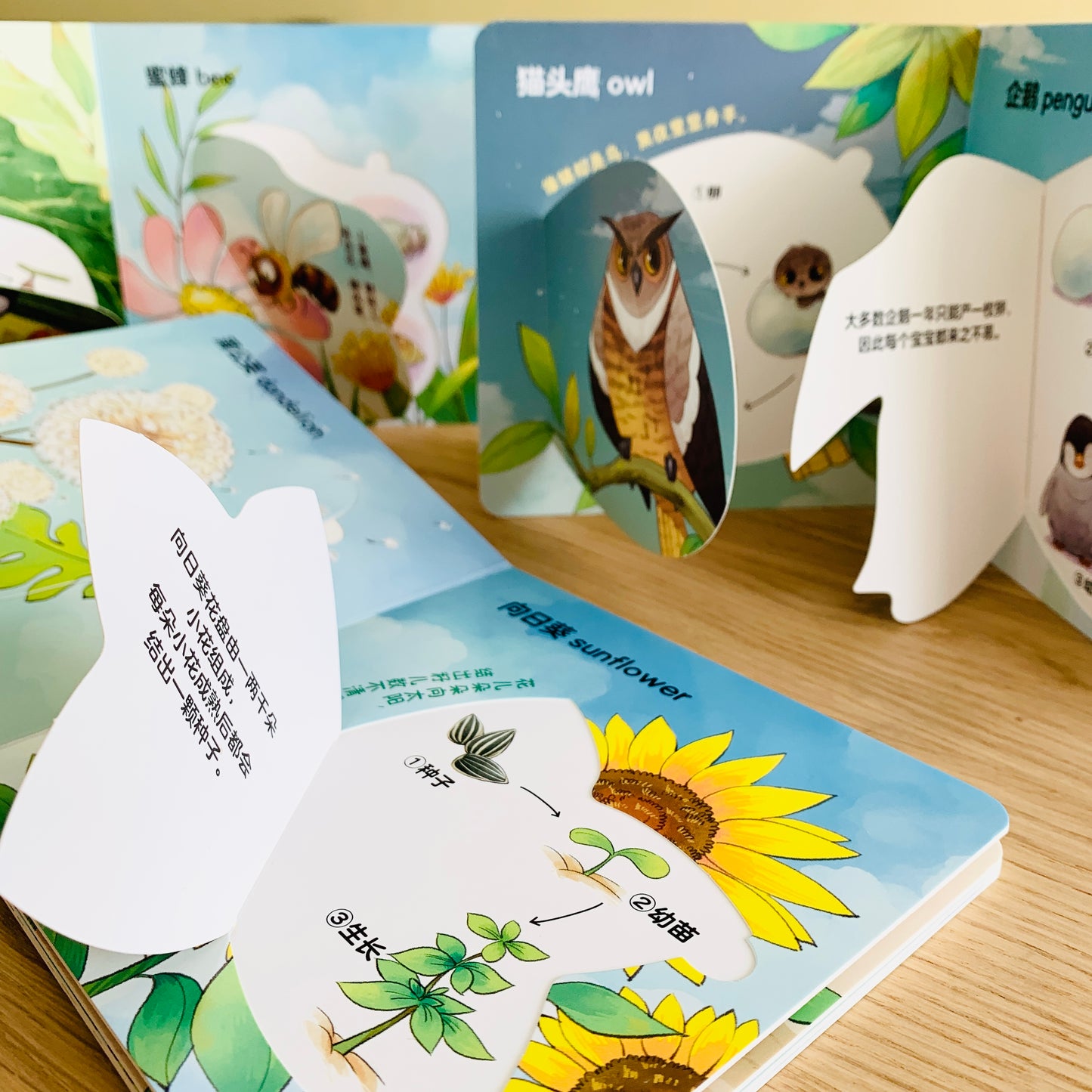 生命周期翻翻书 Life Cycle Interactive Books (Set of 3)