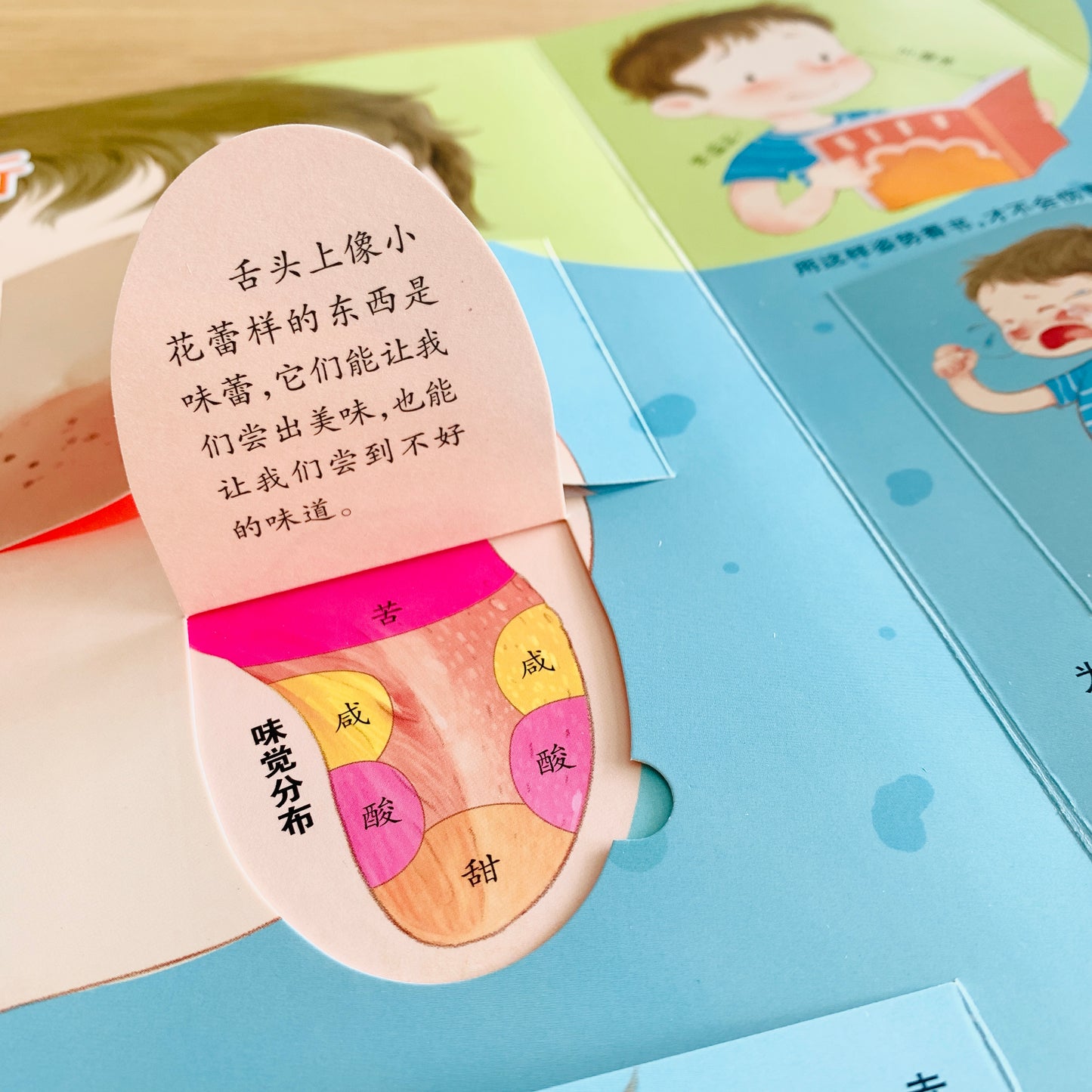 我们的身体 立体书 Our Bodies 3D Pop-up Book