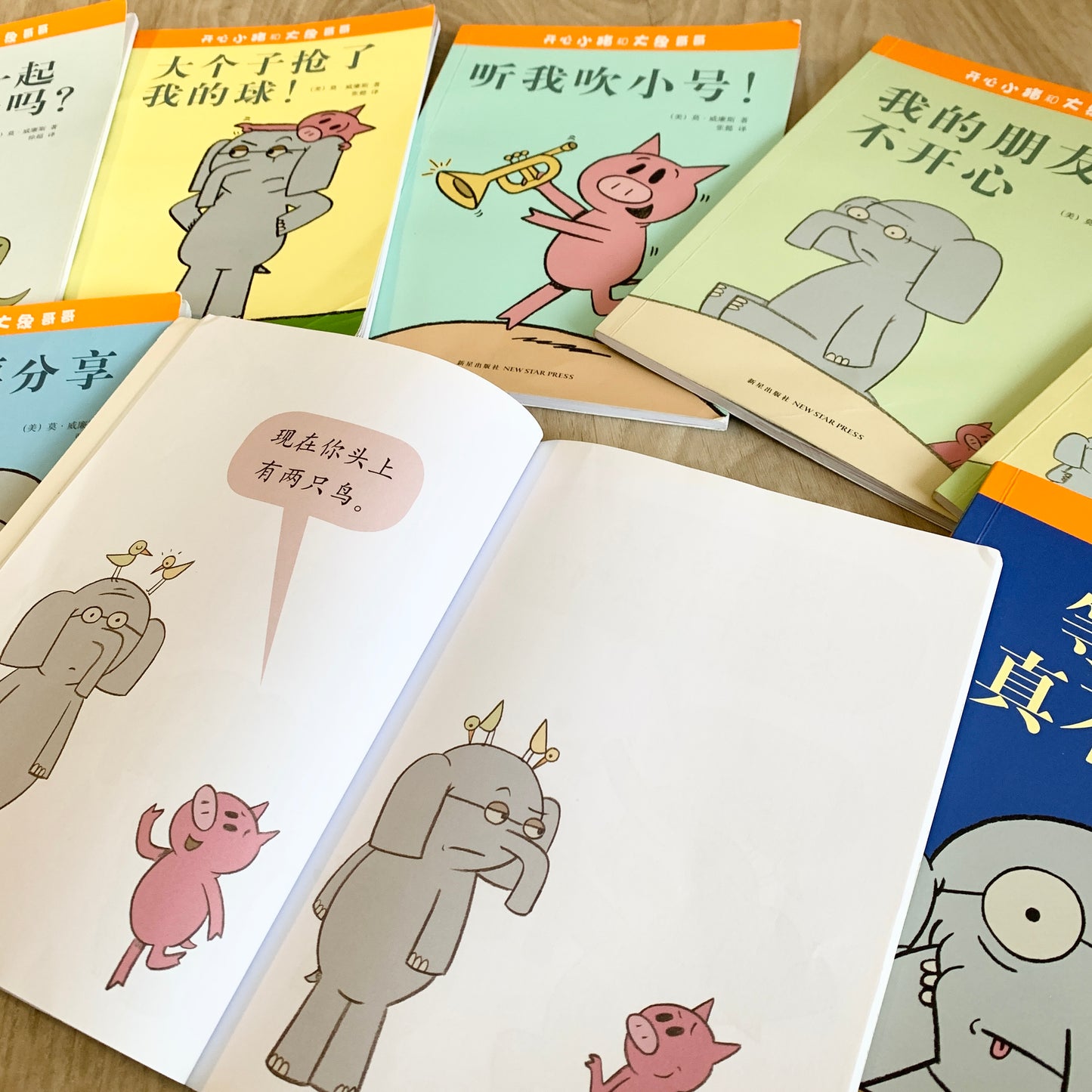 开心小猪和大象哥哥 Elephant and Piggie (Set of 17)