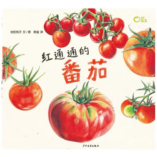 我爱蔬菜系列 I Love Vegetables - Tomato, Cabbage, Brinjal, Potato, Pumpkin, Radish (Set of 6)