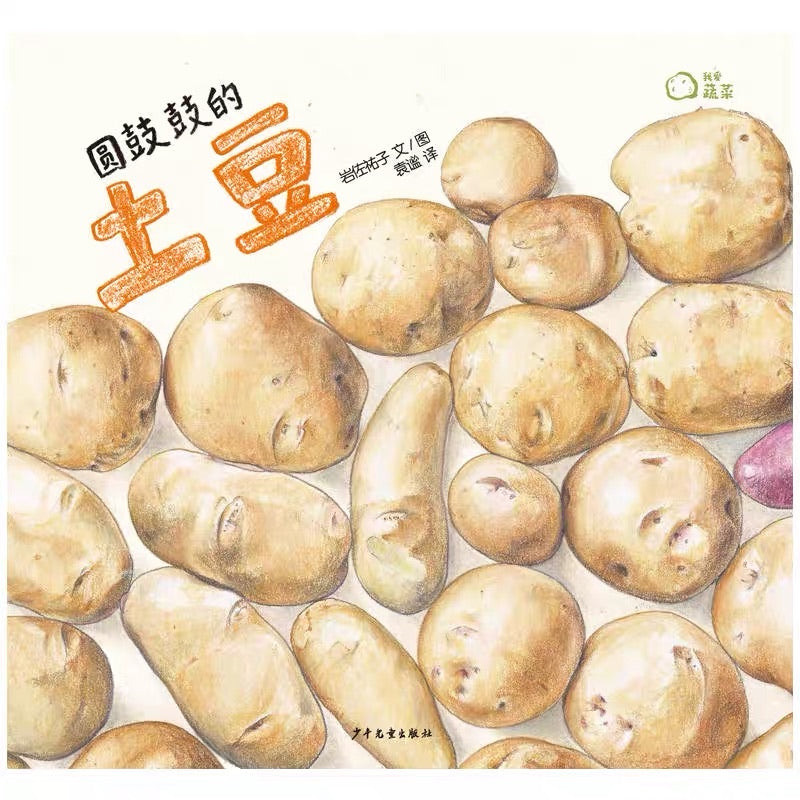 我爱蔬菜系列 I Love Vegetables - Tomato, Cabbage, Brinjal, Potato, Pumpkin, Radish (Set of 6)