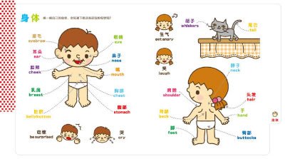 幼儿认知小百科 Picture Encyclopedia (Set of 3)