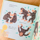 The Watcher: Jane Goodall's Life with the Chimps 观察者