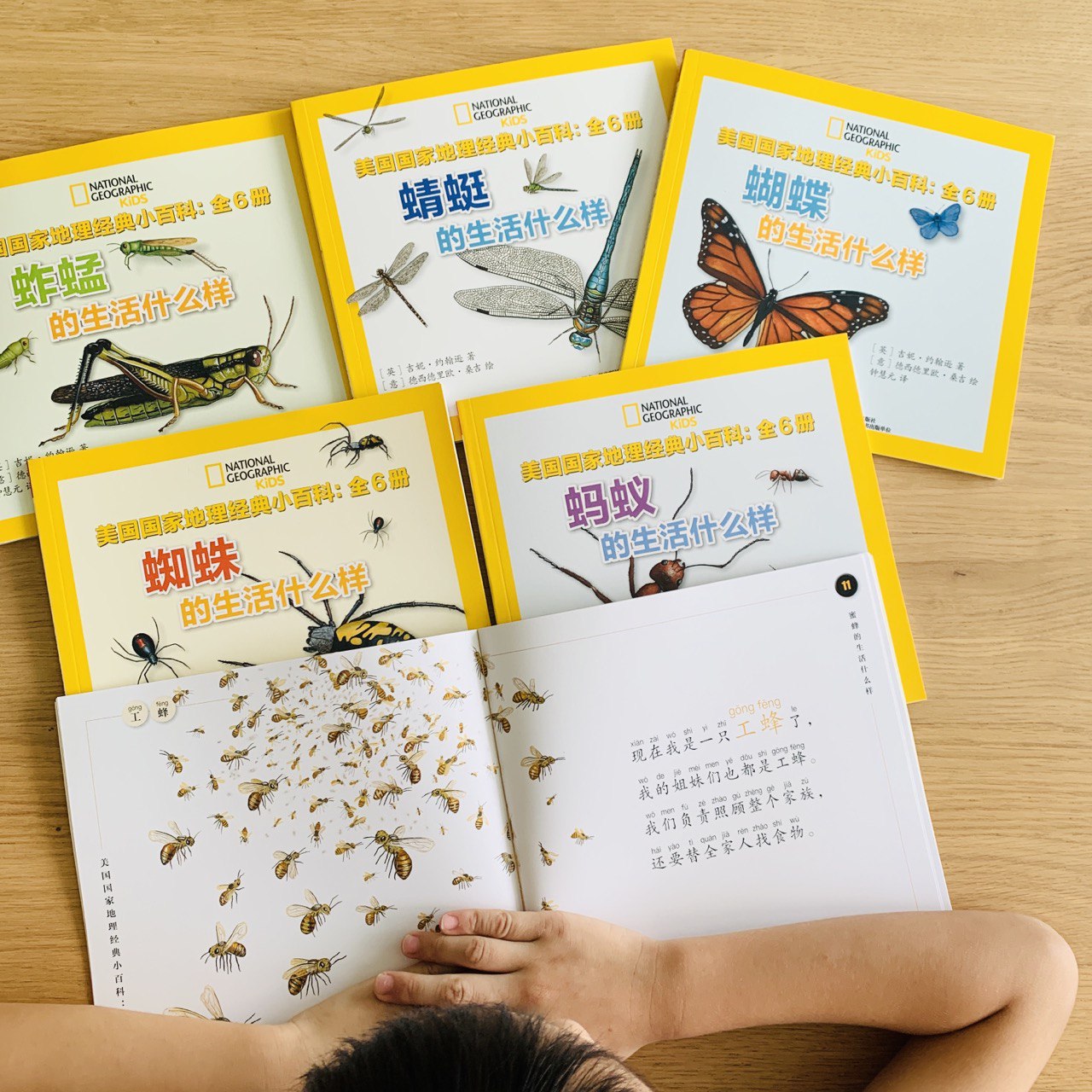 美国国家地理经典小百科 National Geographic Classic Encyclopedia - Bugs (Set of 6)