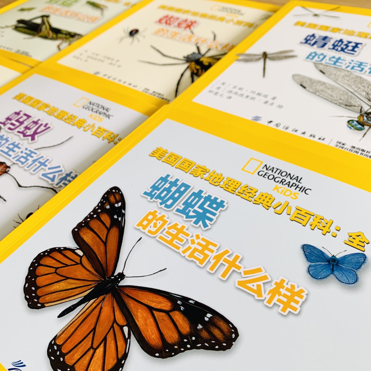 美国国家地理经典小百科 National Geographic Classic Encyclopedia - Bugs (Set of 6)