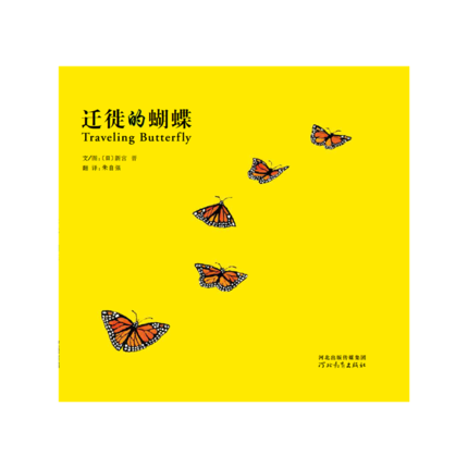 迁徙的蝴蝶 Travelling Butterfly